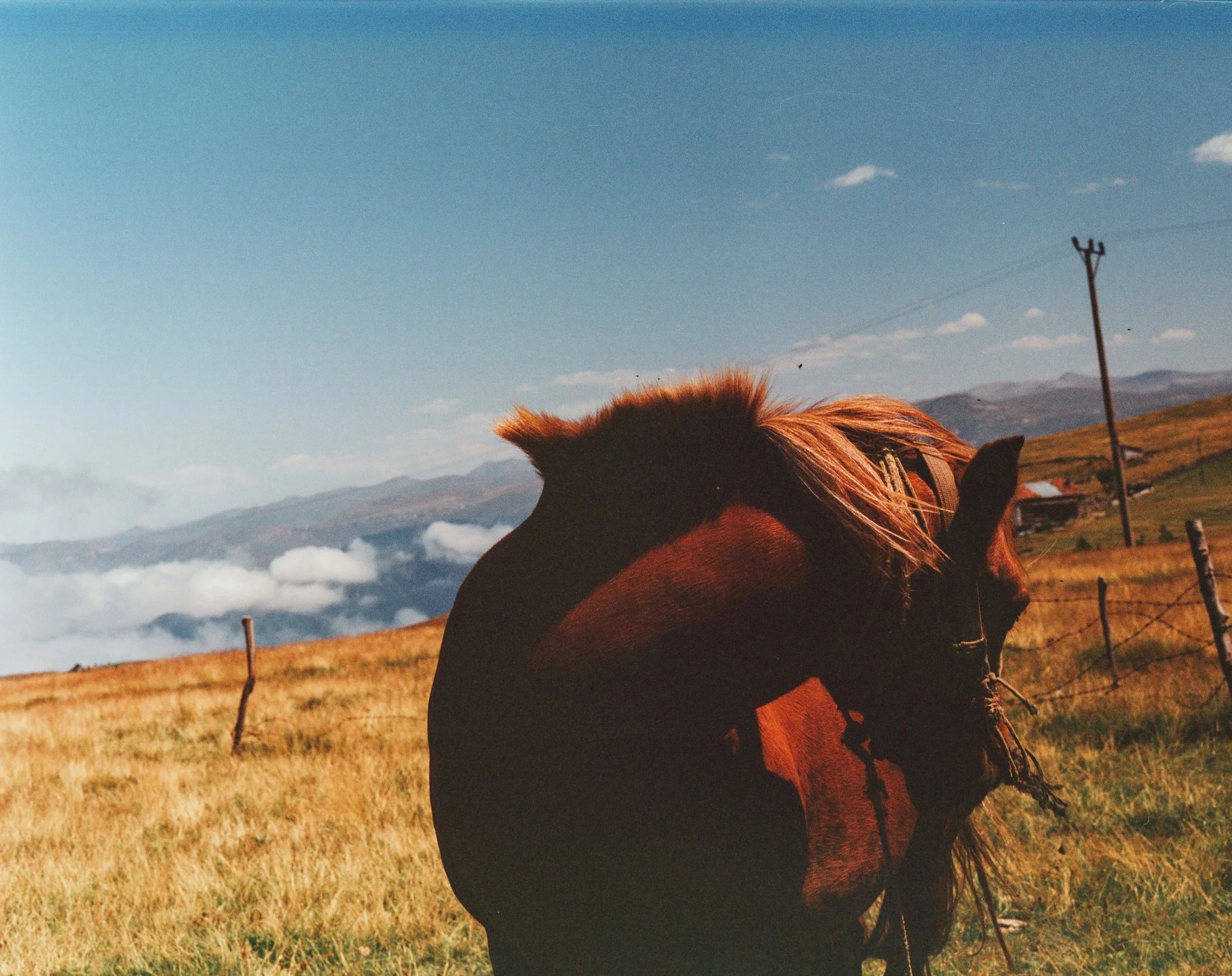 img0008at.jpg