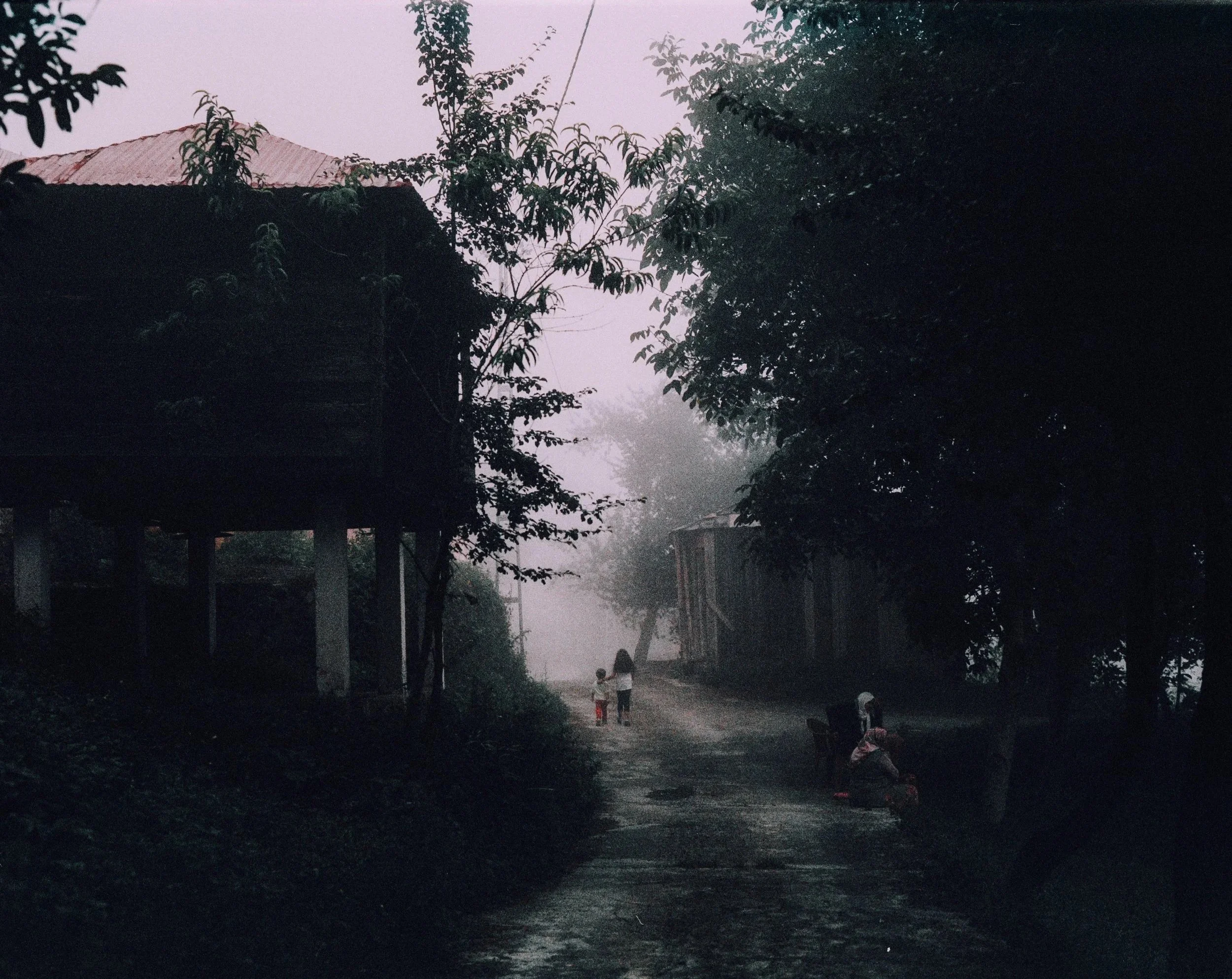 img0007_hamsikoy.jpg