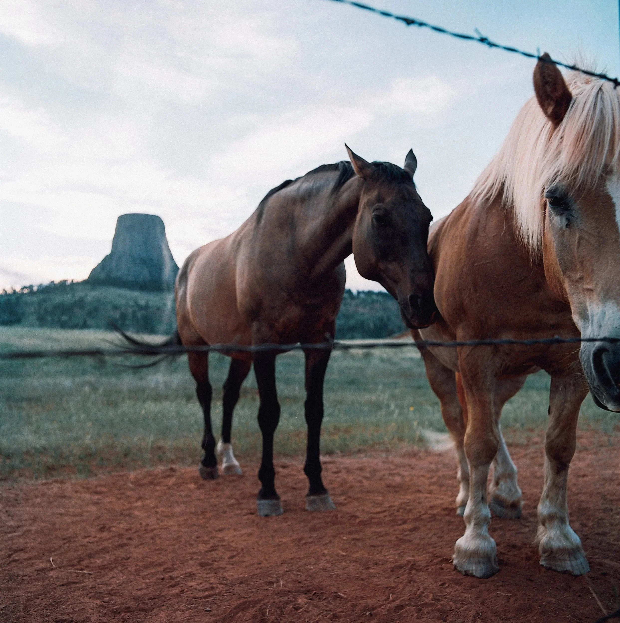 9770+%2812%29.jpg