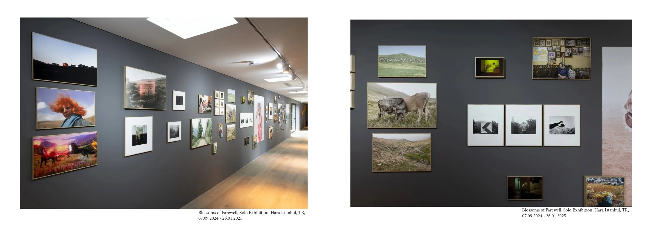 Portfolio Basel-8.jpeg