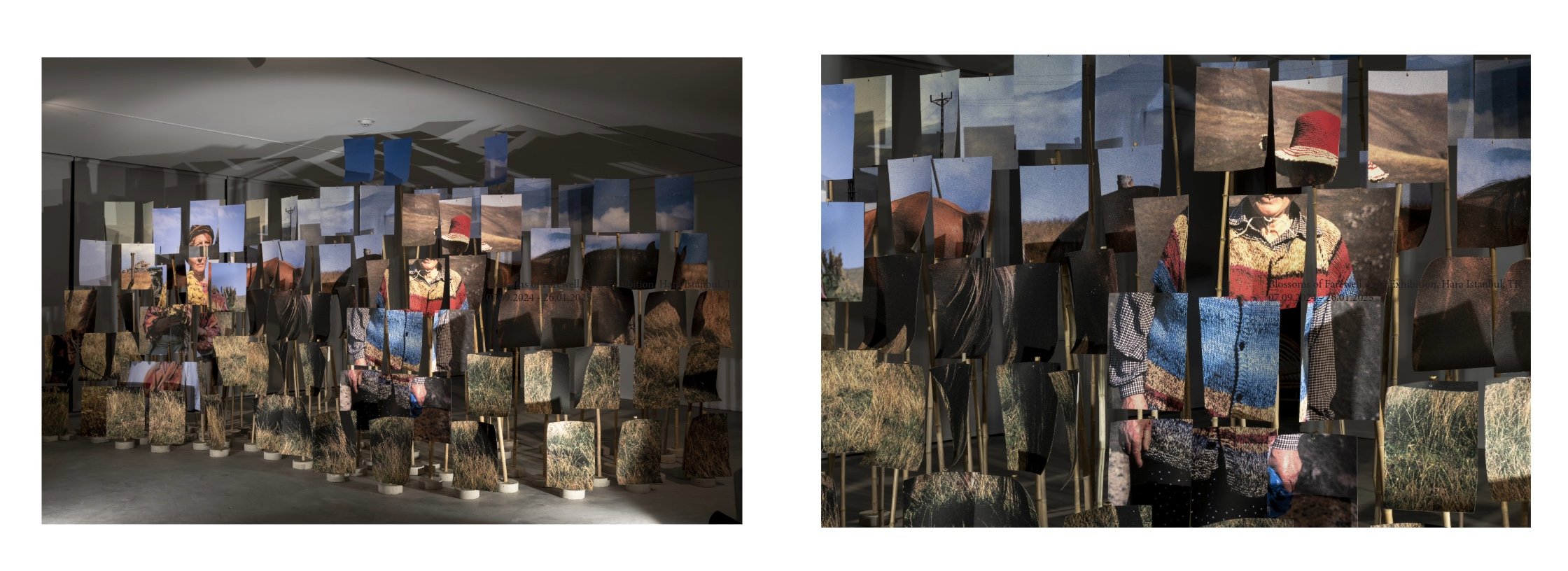 Portfolio Basel-5.jpeg