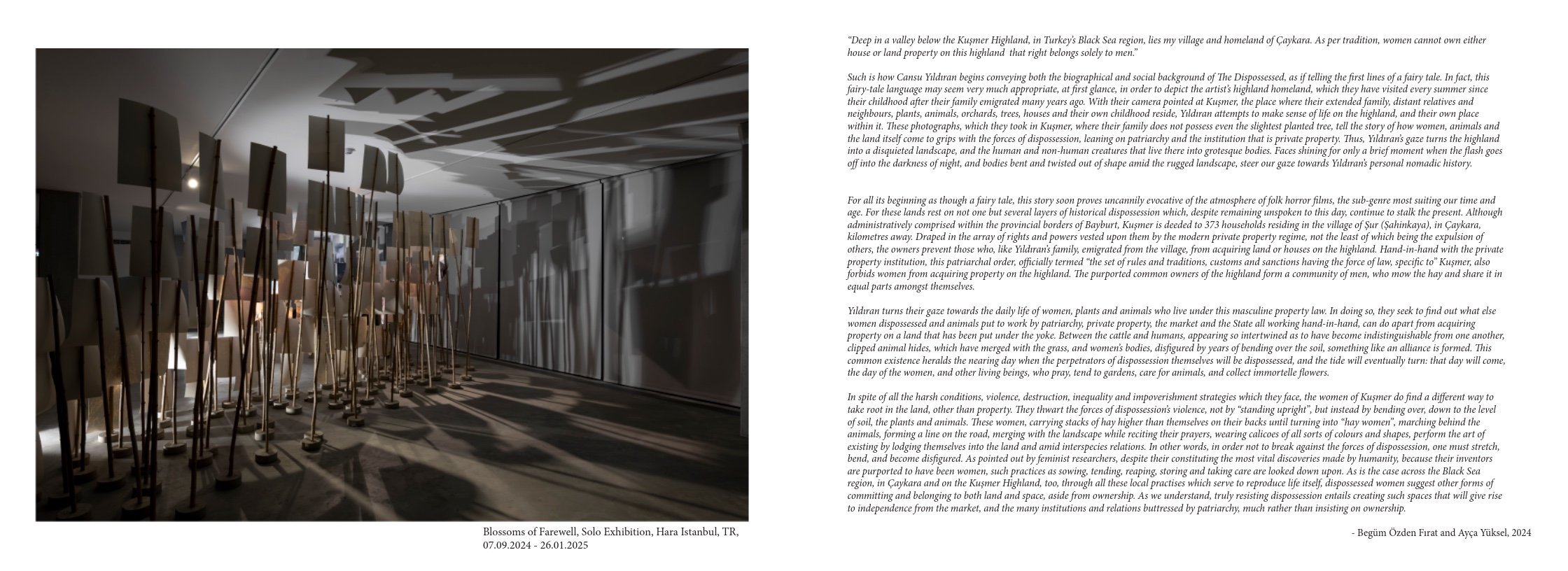 Portfolio Basel-7.jpeg