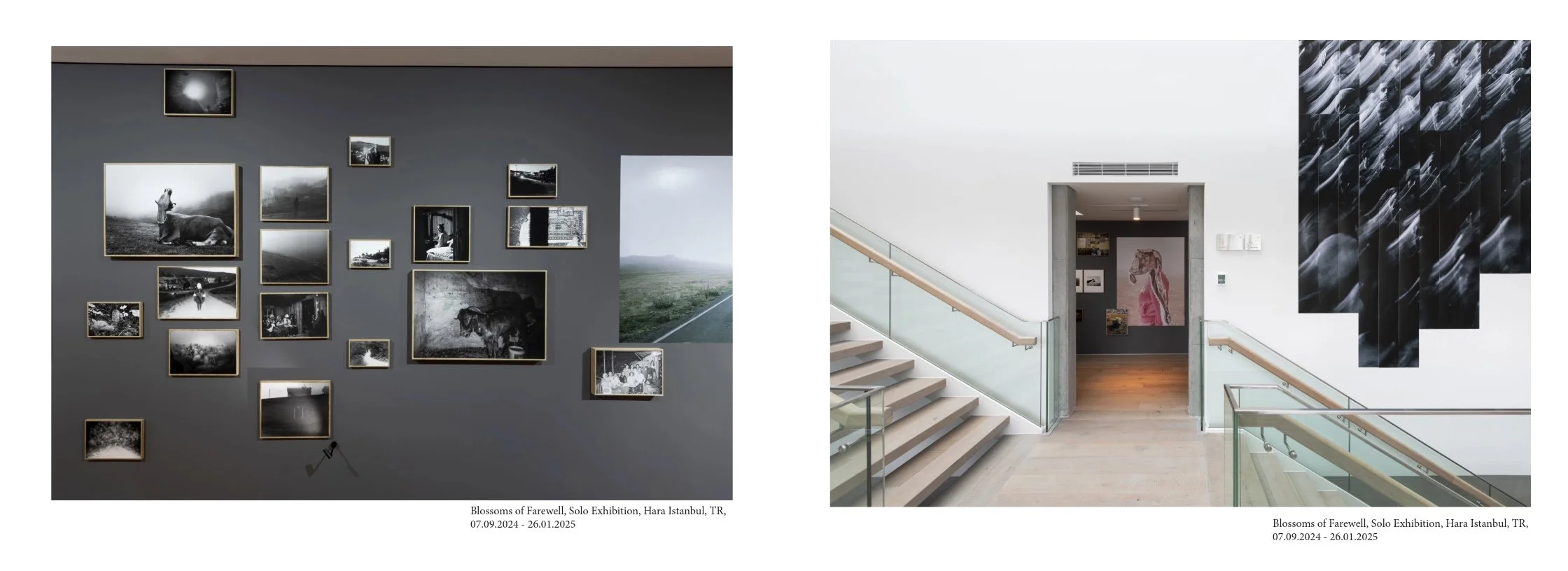 Portfolio Basel-9.jpeg