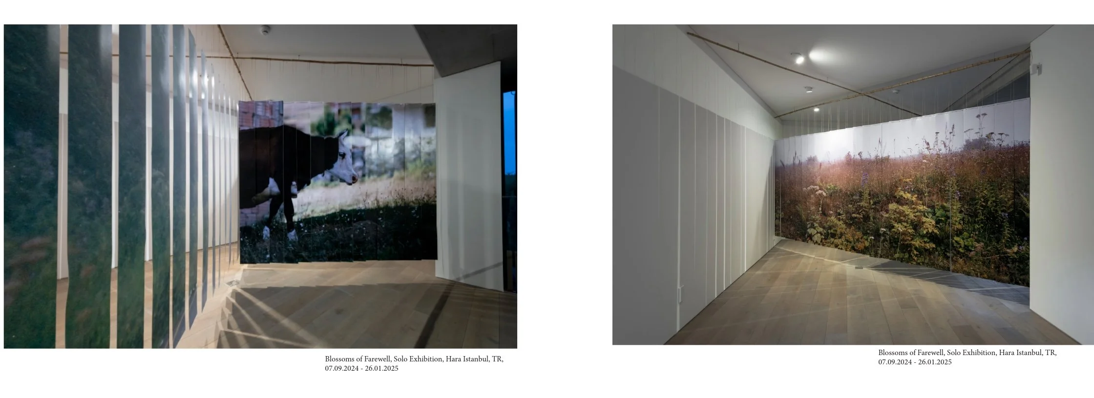 Portfolio Basel-10.jpeg