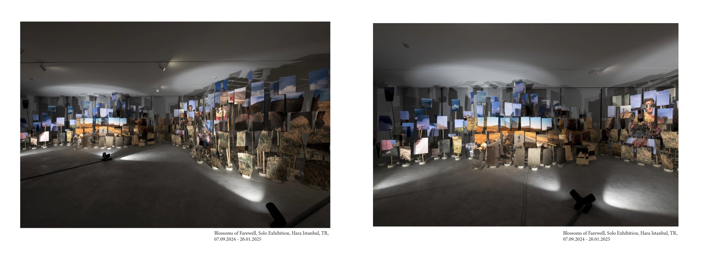 Portfolio Basel-6.jpeg