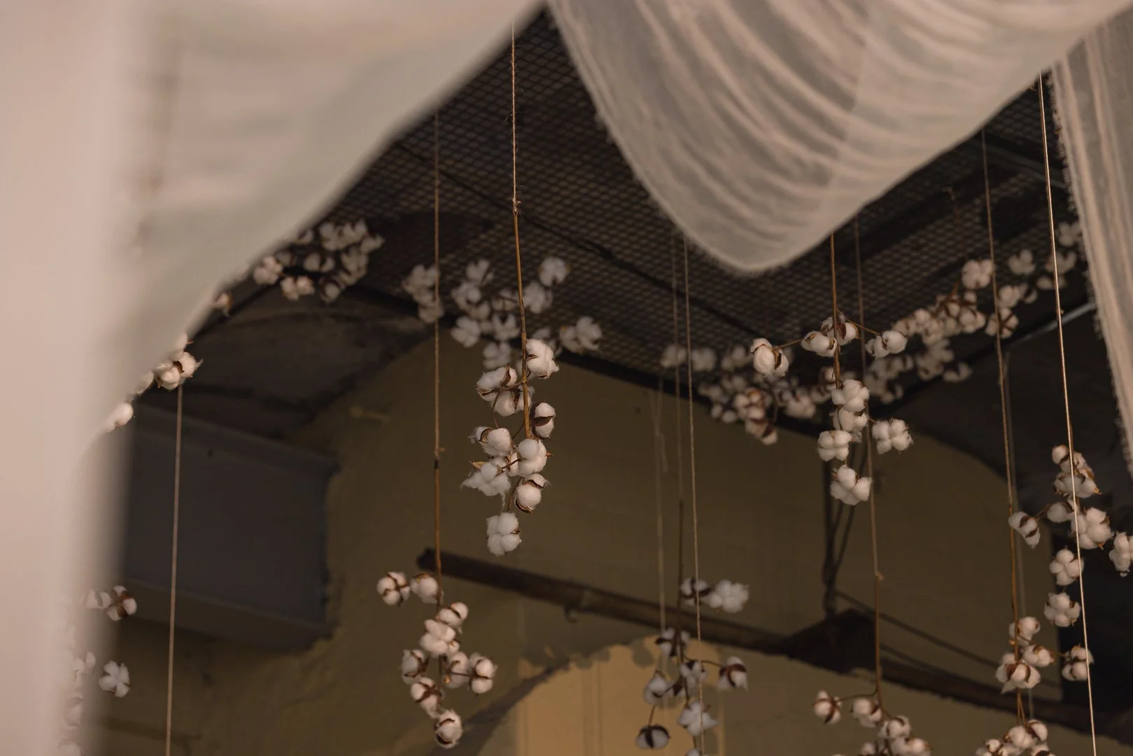 WBPS_Biennale 25-Install_Nikesha Breeze_Document Photography_March 26-13.jpg