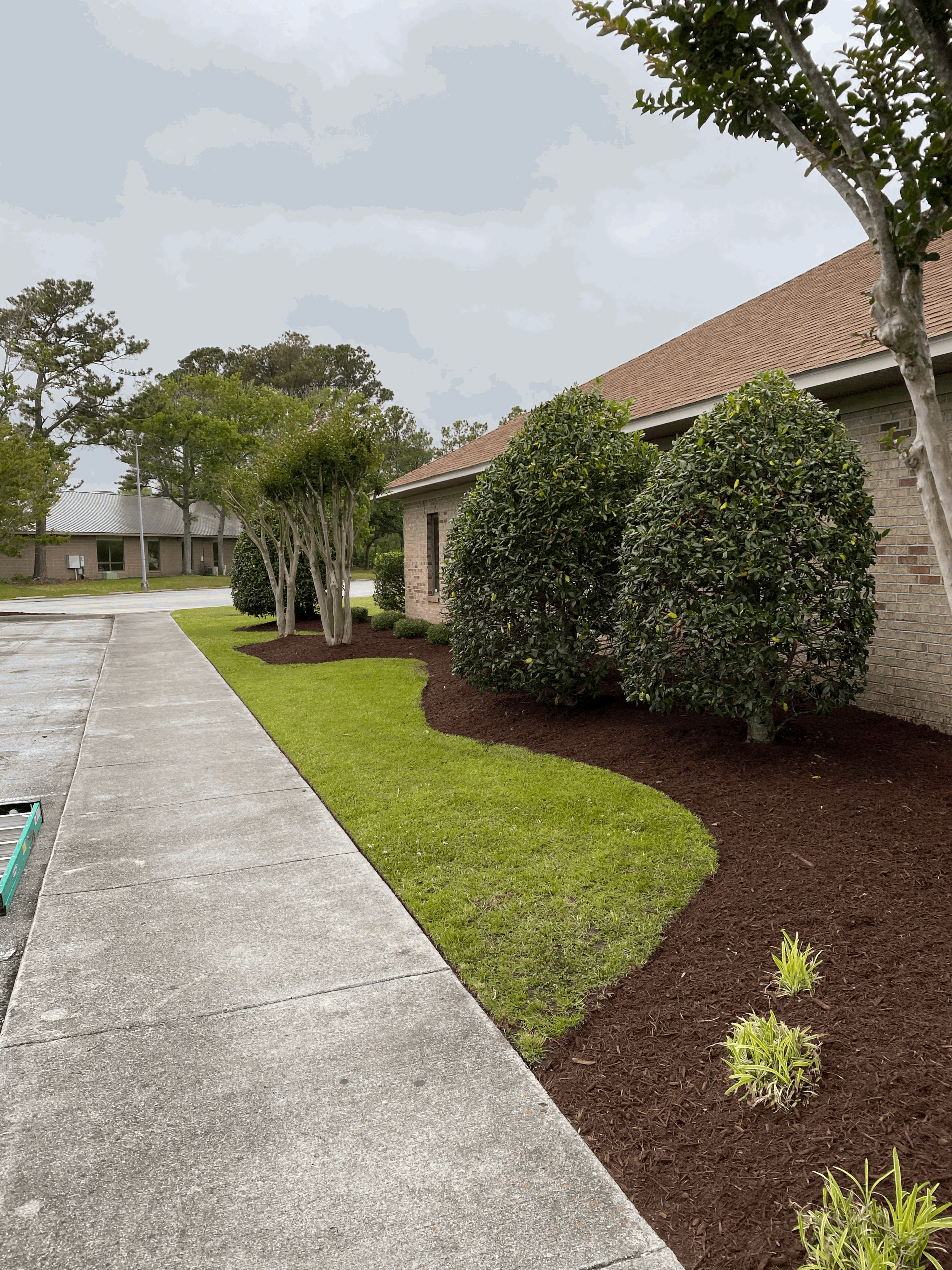 Mulch