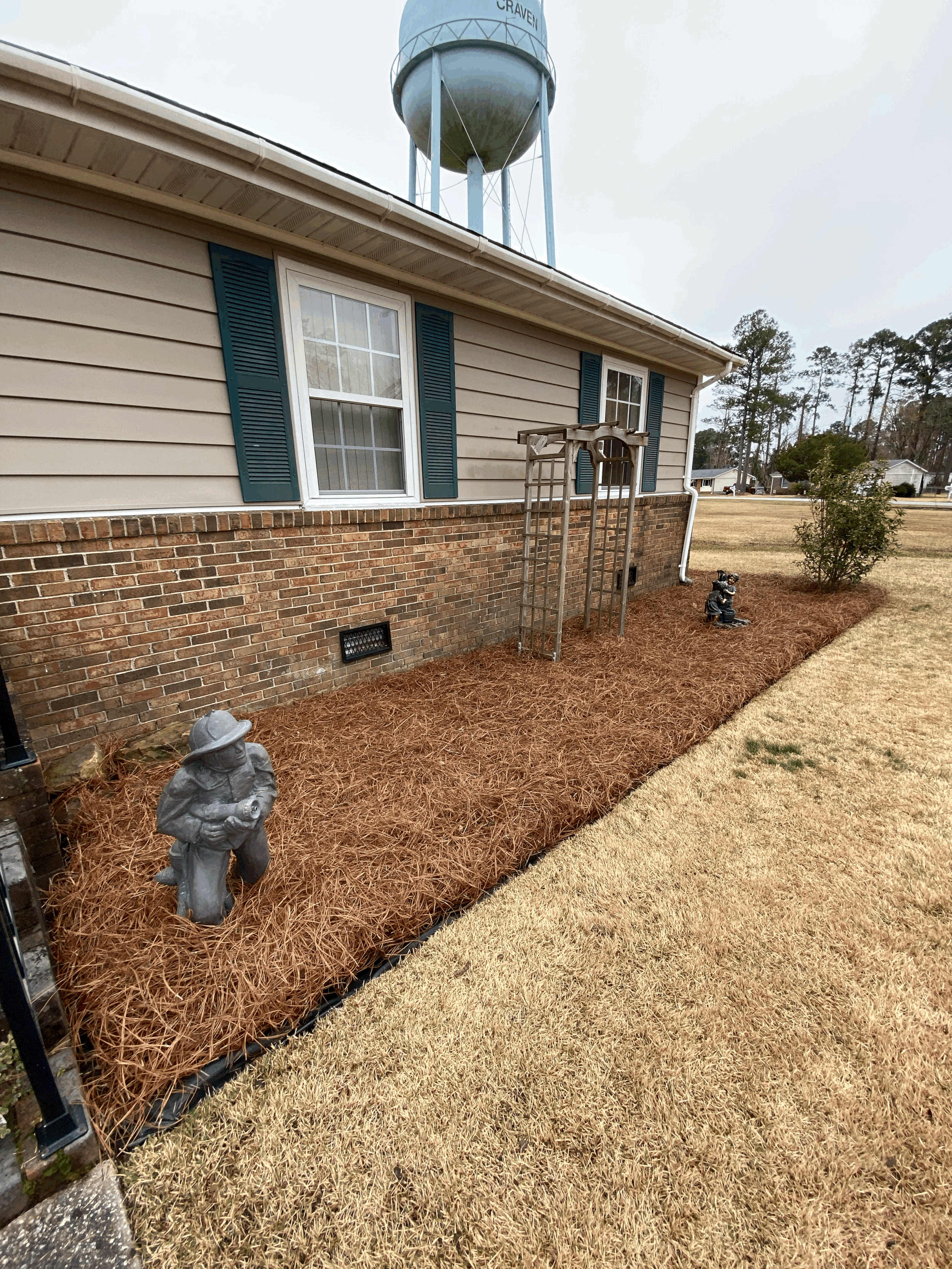 Pine Straw