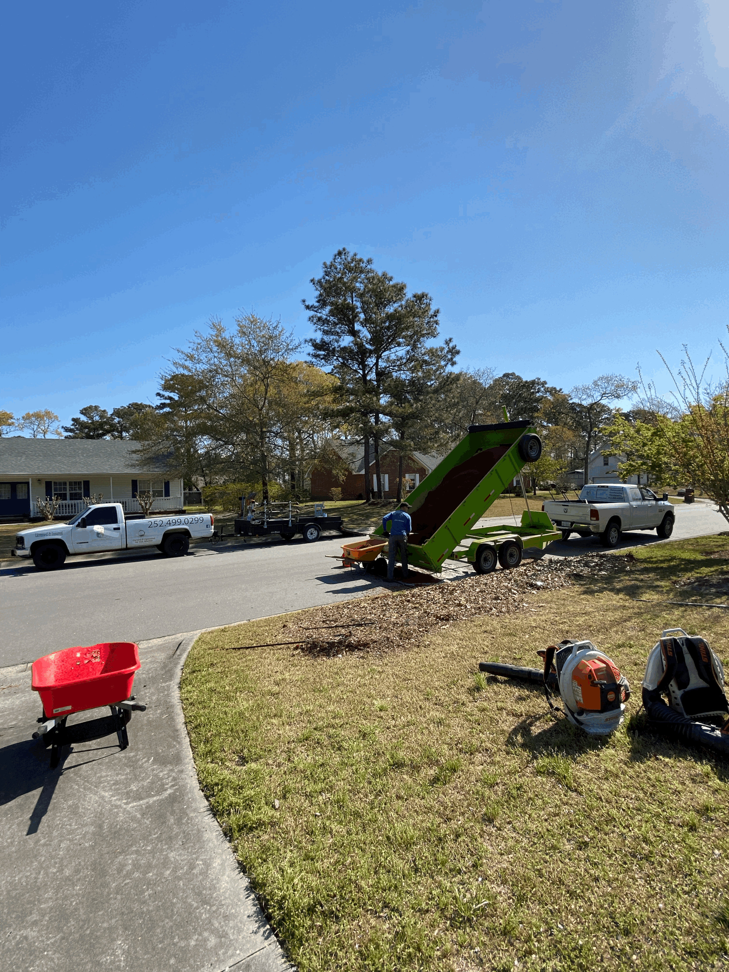 Leaf Cleanup
