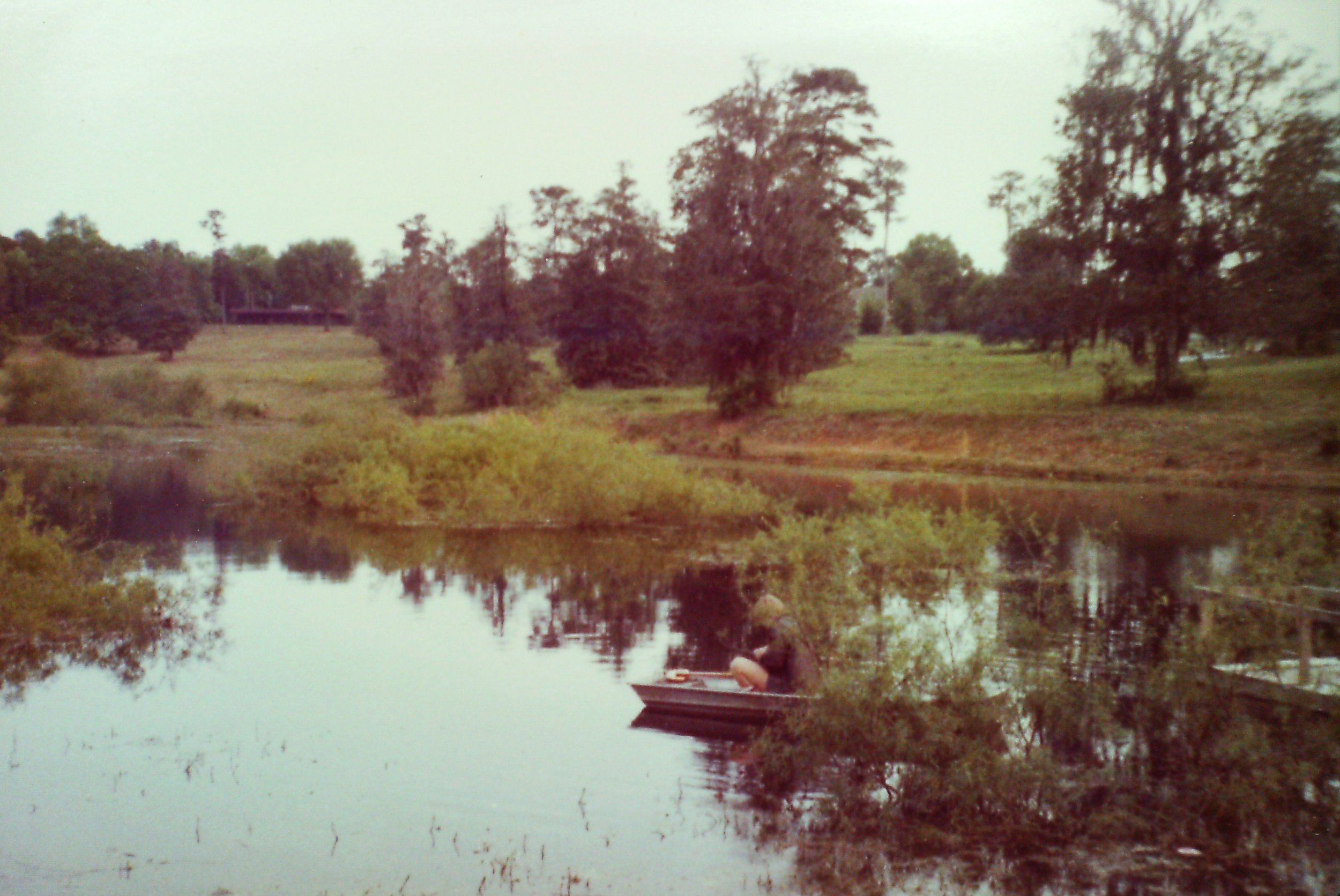 Pond 1.jpg