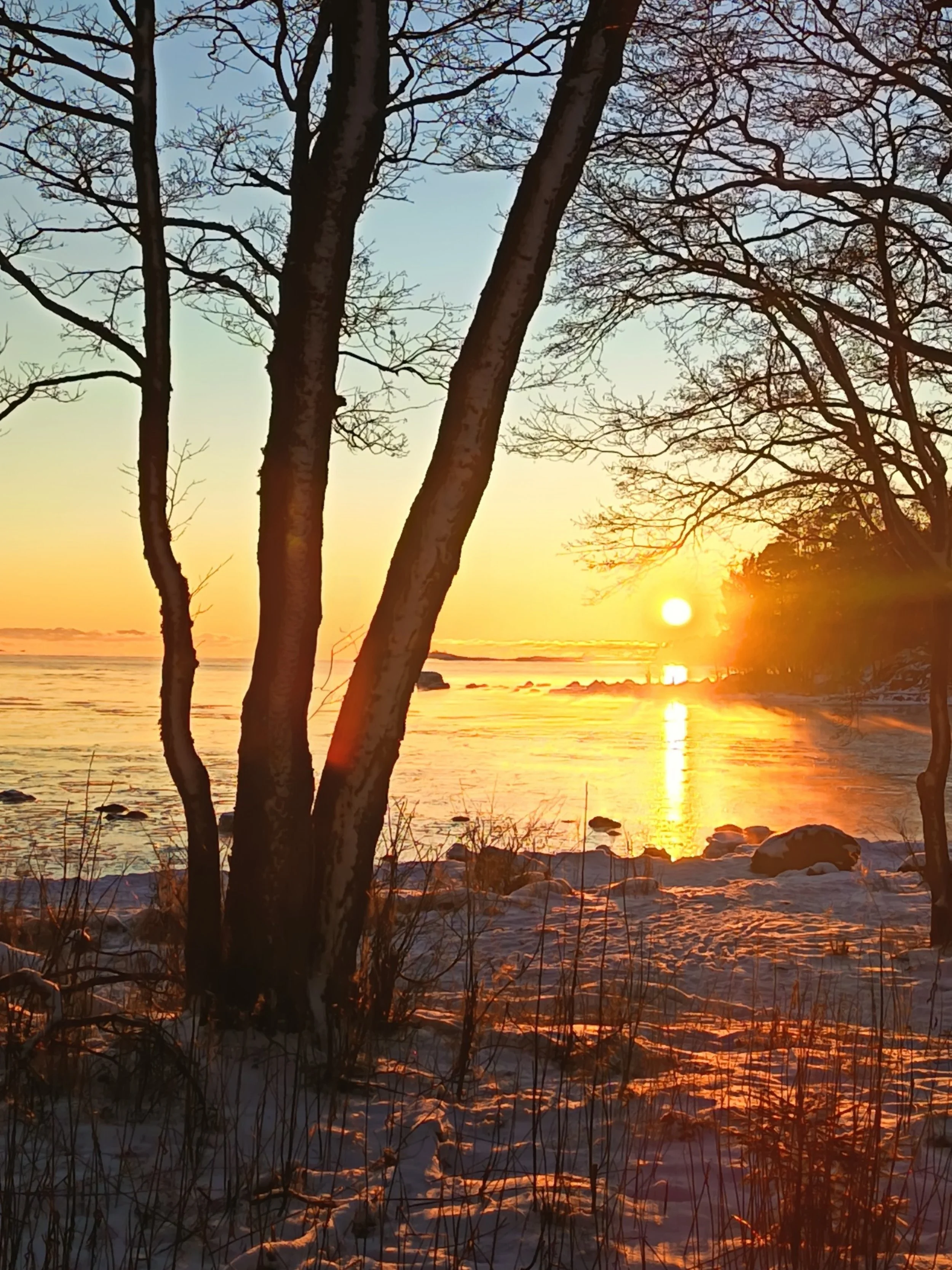 Ylisukupolviset jäljet 