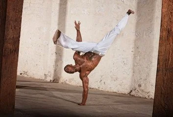 ART, MOVEMENT & COMMUNITY Live Experiences at Transwerke