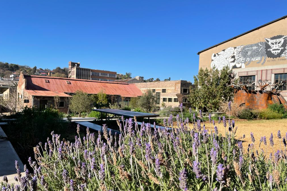 Victoria Yards Conta Joburg victoria-yards-conta-joburg