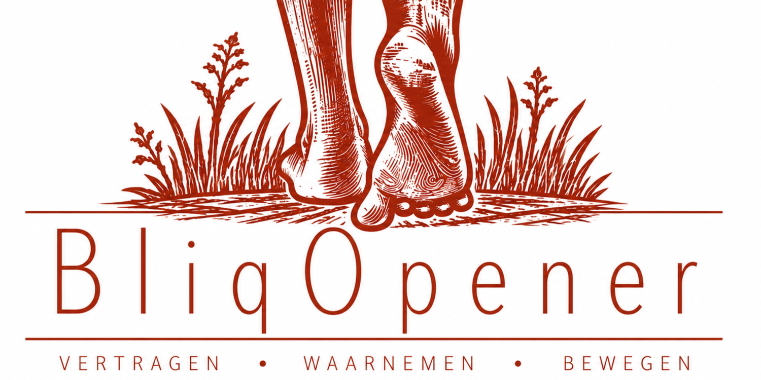 BliqOpener | coaching bij verandering | op hoofd én lijf