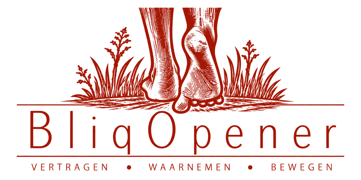 BliqOpener | coaching bij verandering | op hoofd én lijf