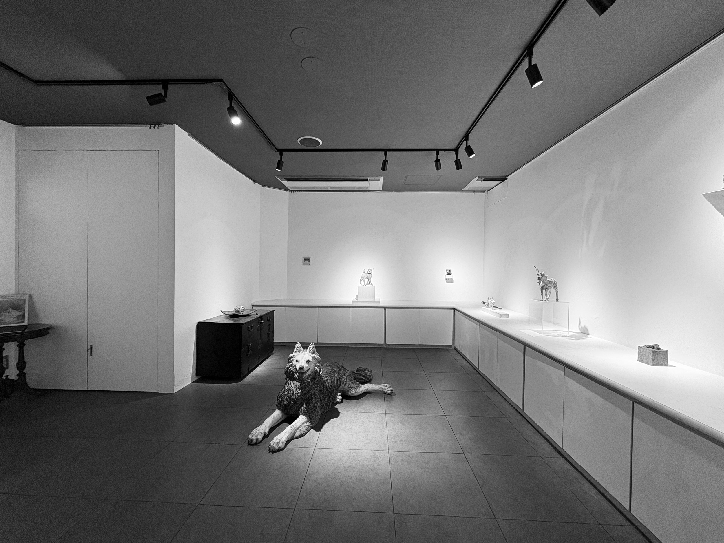 SHIKISAISHA GALLERY
 Emerging from a background deeply tied to art publishing, the gallery approaches exhibitions with an editorial sensibility—one attentive not merely to style or trend, but to artists possessing sharply defined visual languages and