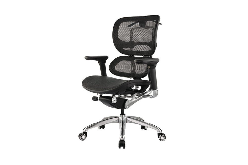 ergo-executive-mesh-chair-2.jpg