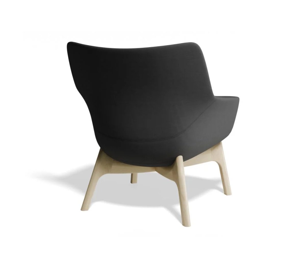 Fly Charcoal rear.jpg