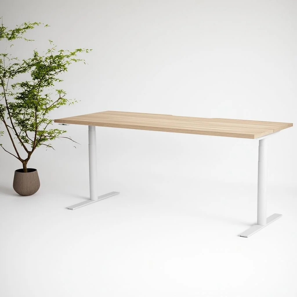 Orb Sit-Stand Desk (Round Leg)