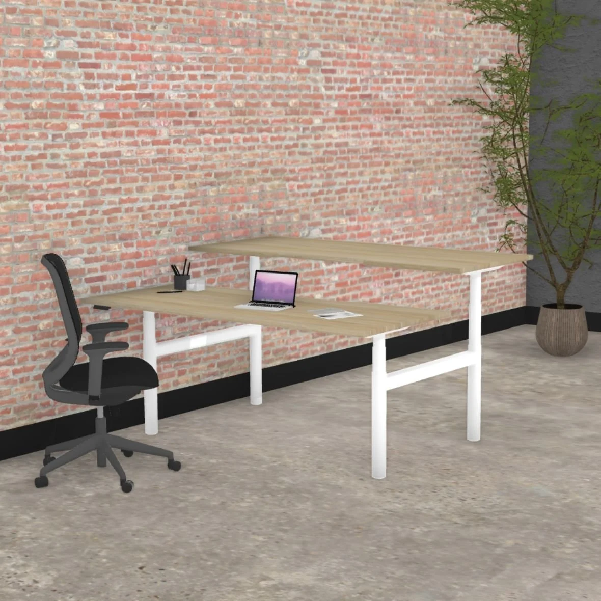 omni round leg b2b white-oak.jpg