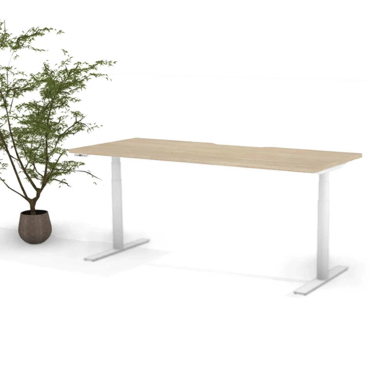 Omni round leg white-oak.jpg