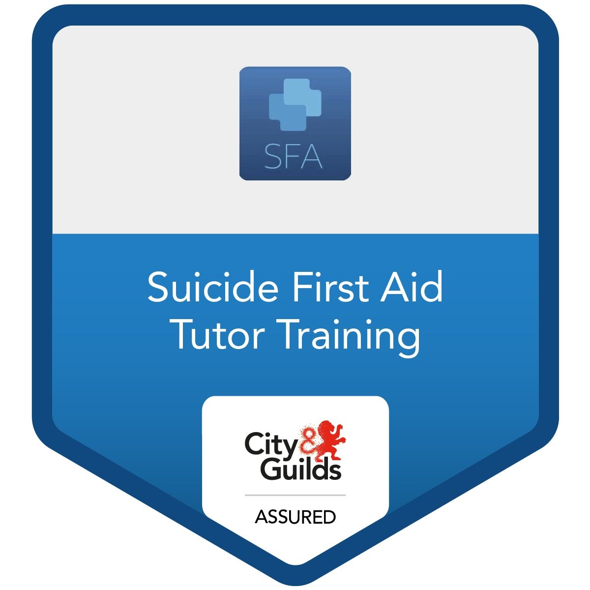 suicide-first-aid-tutor-training.jpg