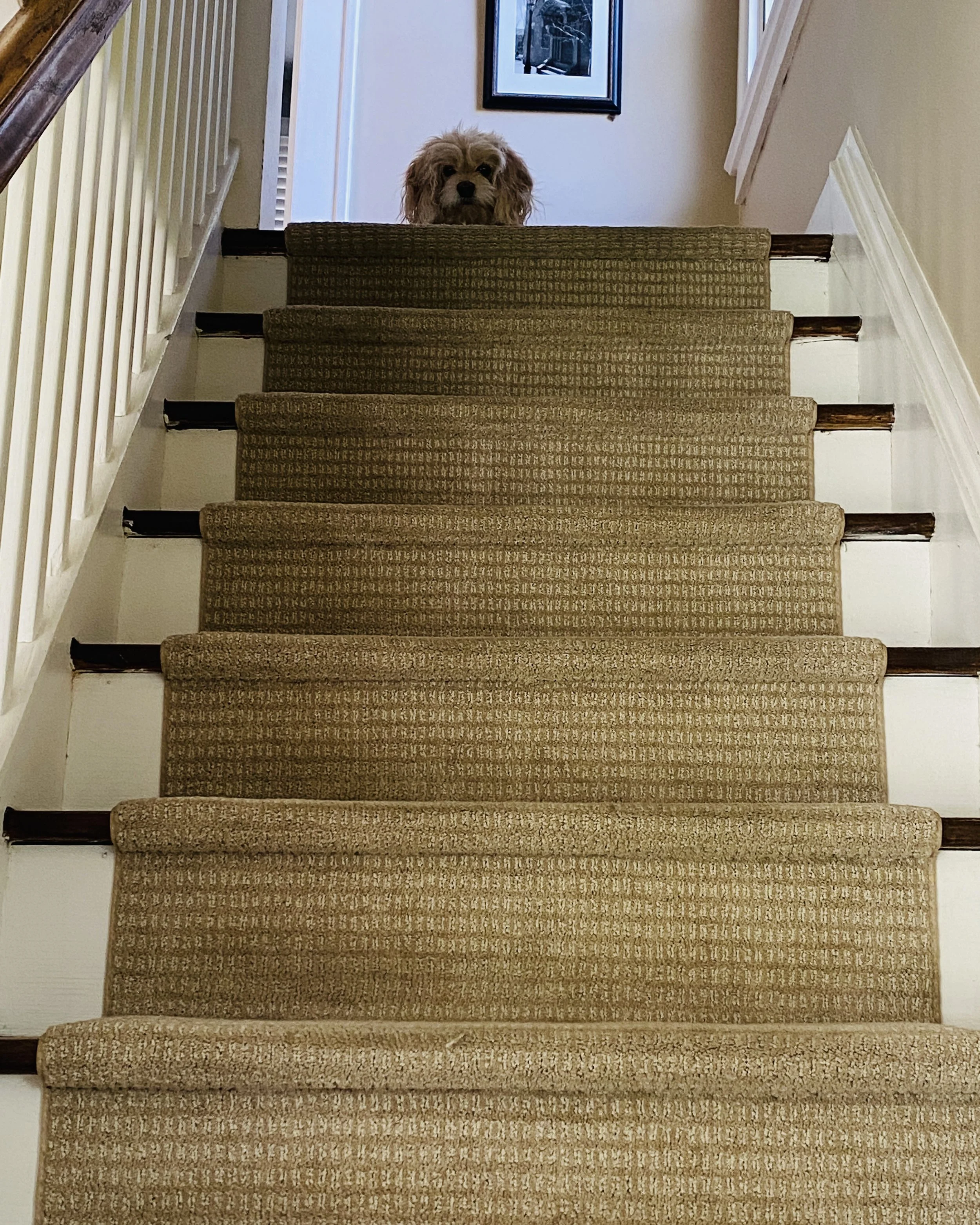 How Are You? For real…