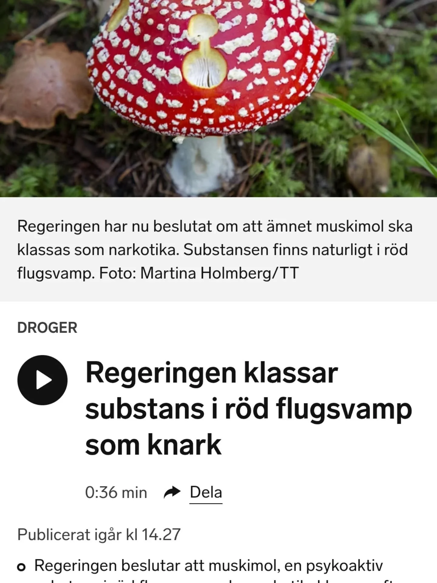 Titta vad sorgligt!
Det drevs igenom.
Det betyder att jag kommer sluta att h&aring;lla ceremonier med &auml;lskade flugis.Men det &auml;r ju inte f&ouml;rbjudet att prata om den (&auml;n s&aring; l&auml;nge) 

Det hela &auml;r s&aring; sorgligt men j