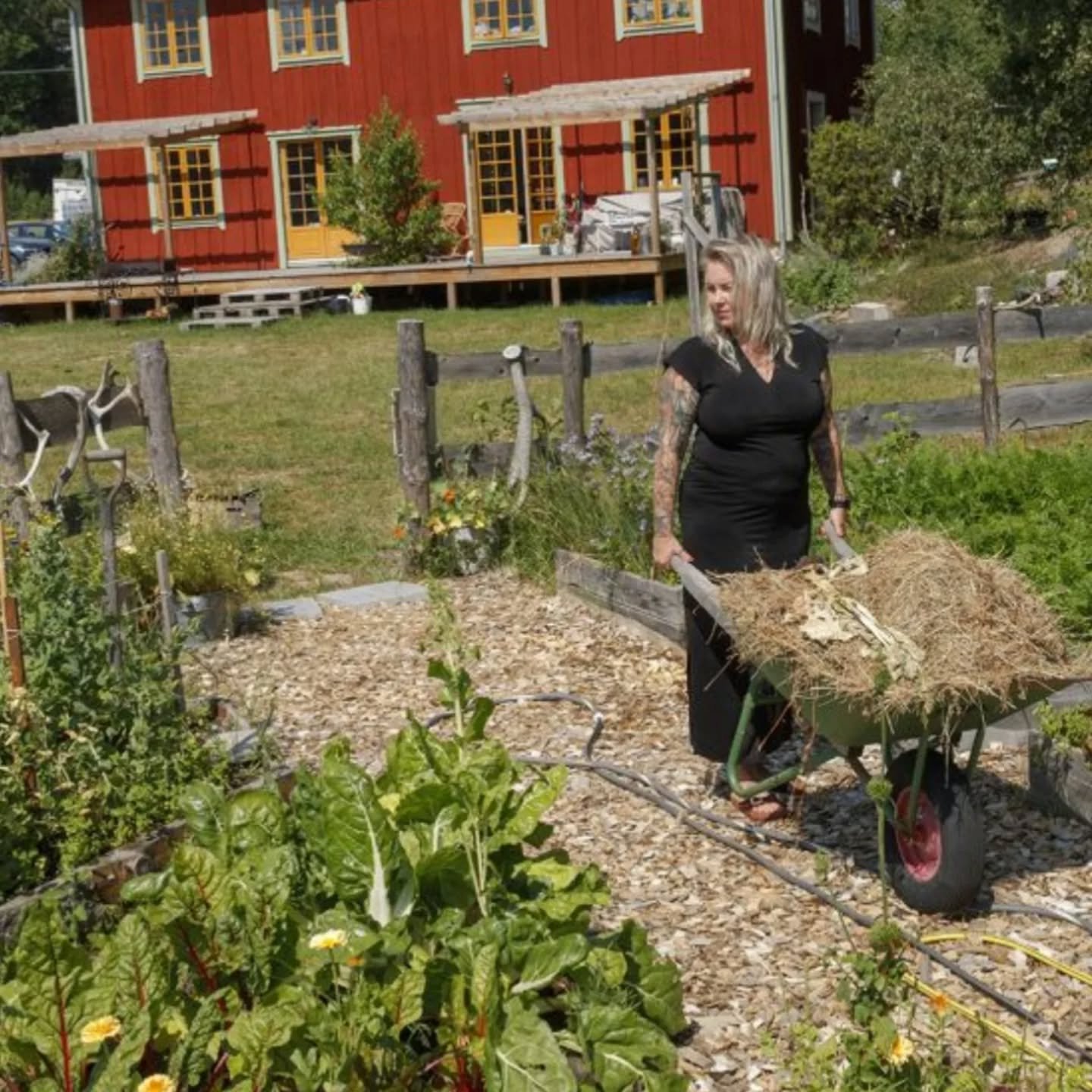 Fr&ouml; &auml;r kraft ...men tyv&auml;rr &auml;r Fr&ouml; &auml;ven makt.

I denna tid av texter om fr&ouml; och gnistor vill jag prata om just fr&ouml;. Jag tror det &auml;r f&aring; som verkligen vet om hur hotade fr&ouml;n &auml;r. Att vi skapat 