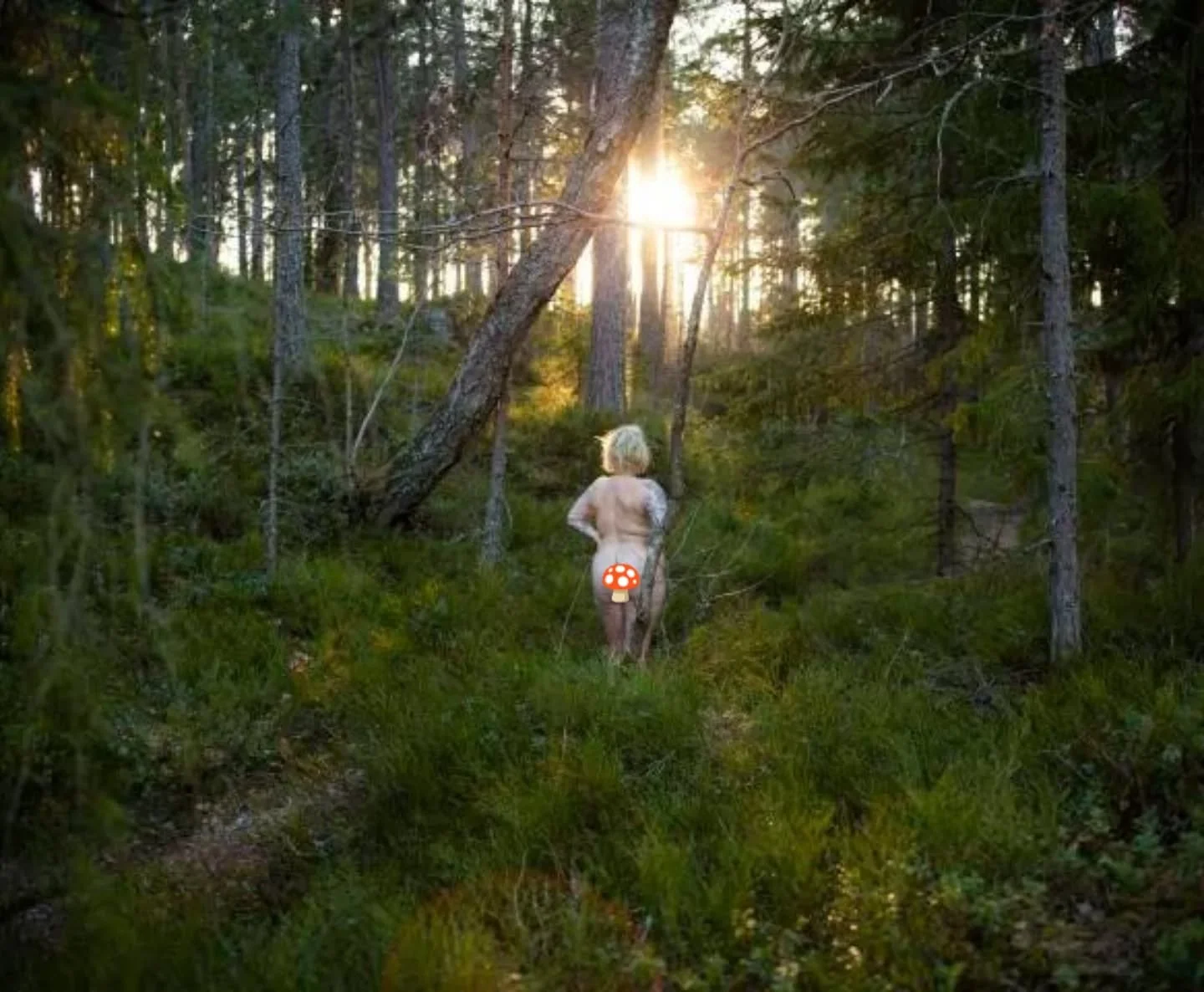 HER WORDS 
In och kika p&aring; magin hos @whentheblackbirdsings_

Inkallan till den stora modern
I skogen g&aring;r jag.
Inte som g&auml;st &mdash;
utan som dotter.
Mellan stammarna &ouml;ppnar sig hennes kropp.
Granens m&ouml;rka salar.
Tallens rak