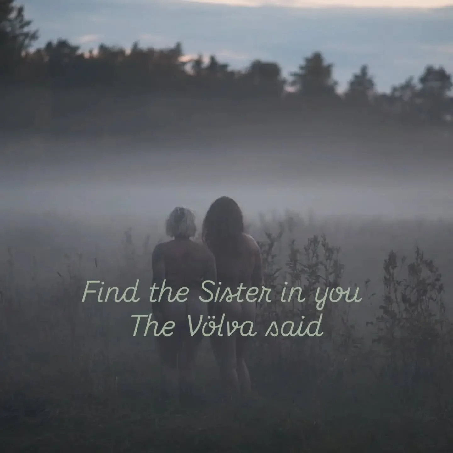 In the last Seydr I took part in. The one on the Hj&auml;lle, the V&ouml;lva spoke to us through time, space, land and worlds.

And she said 

Find the Sister in You

Those words have been staying in me. What does it mean I I find the Sister in me?
a