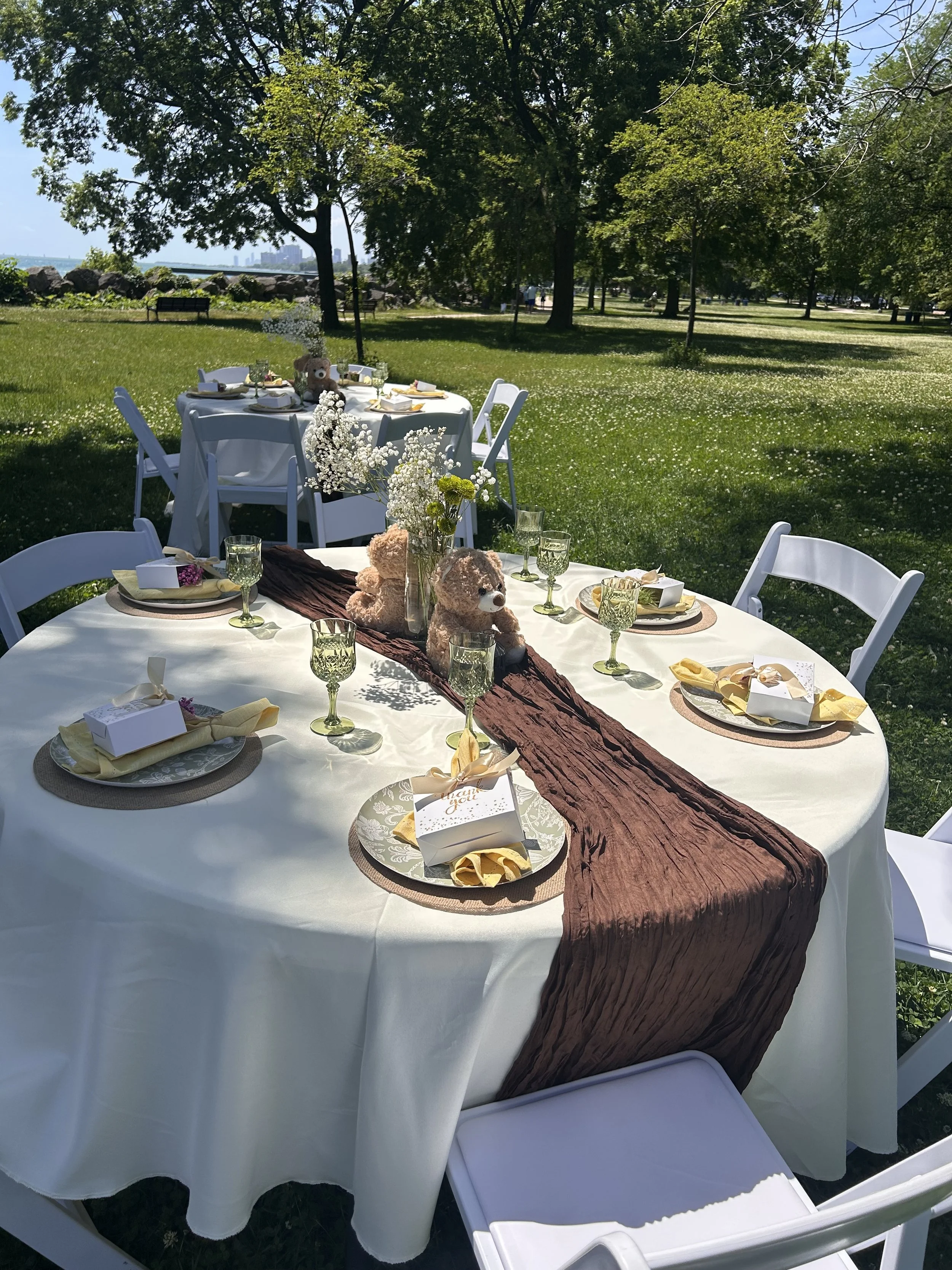 themed baby shower. outdoor setting with teddy bears, brown table runnner, decorative plates and cups. baby shower in the park. summer baby shower. 