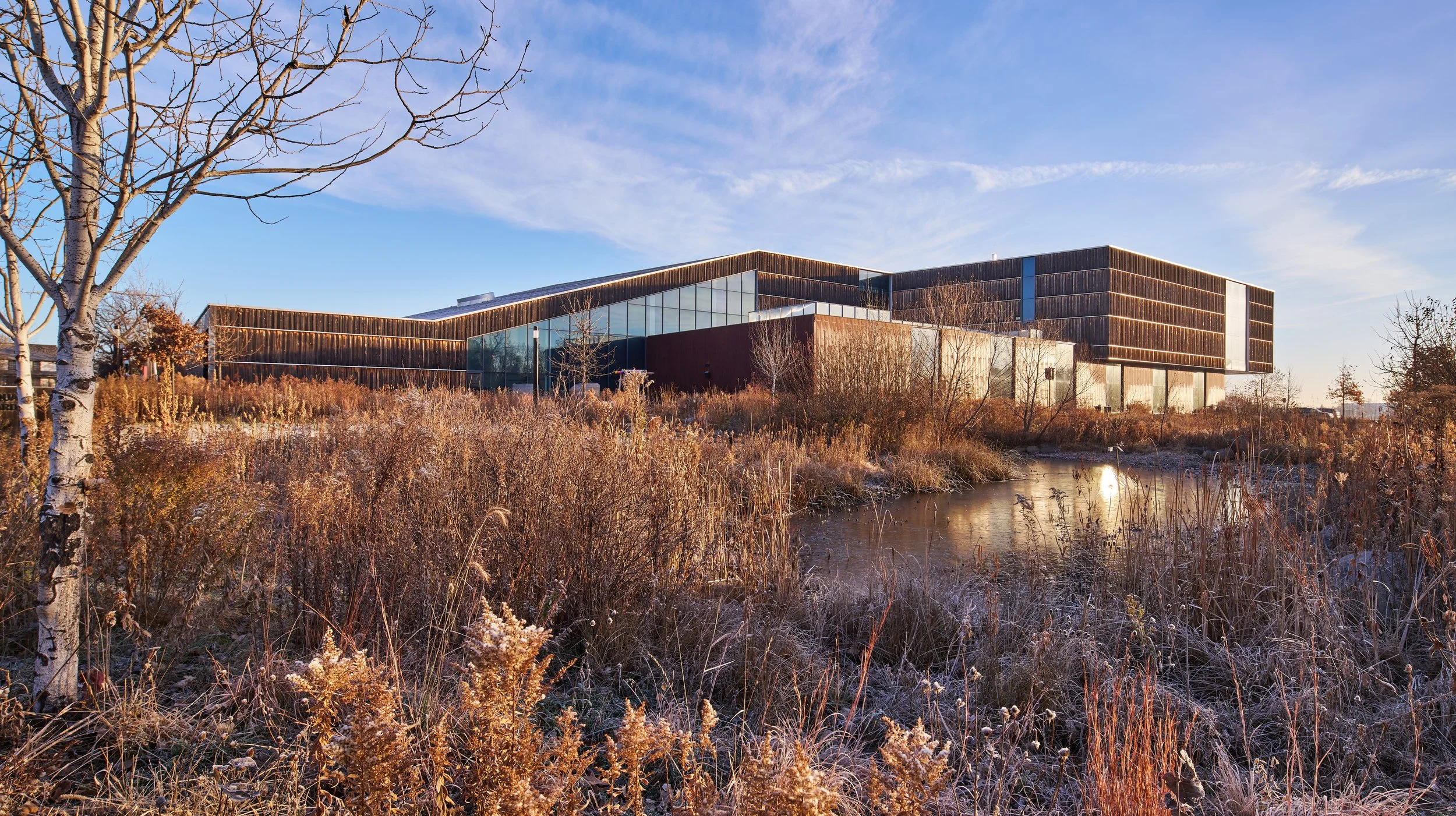 University of Minnesota - Bell Museum
