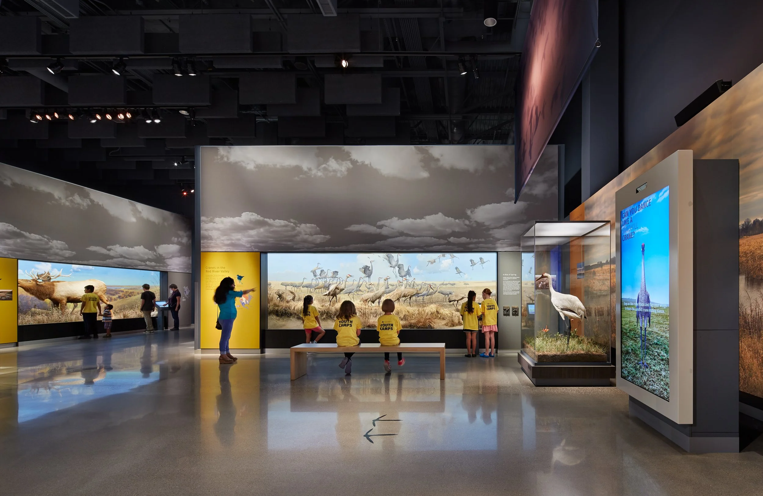 020_180817_PW_BellMuseum_AF_004v3.jpg