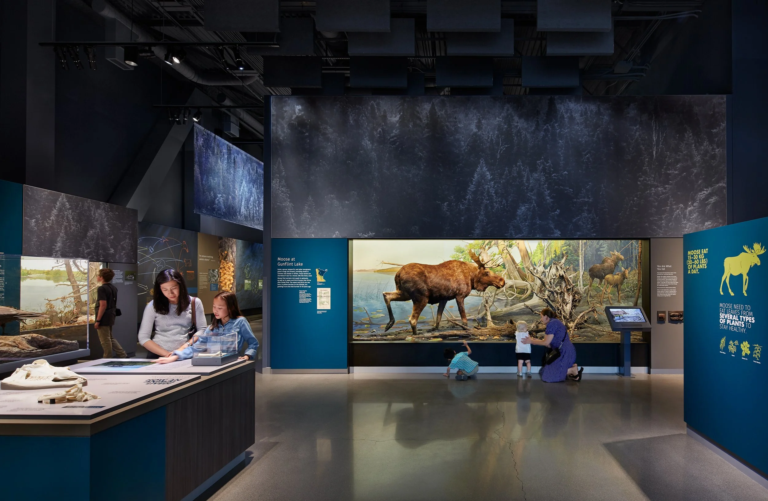 021_180817_PW_BellMuseum_AF_005v2.jpg