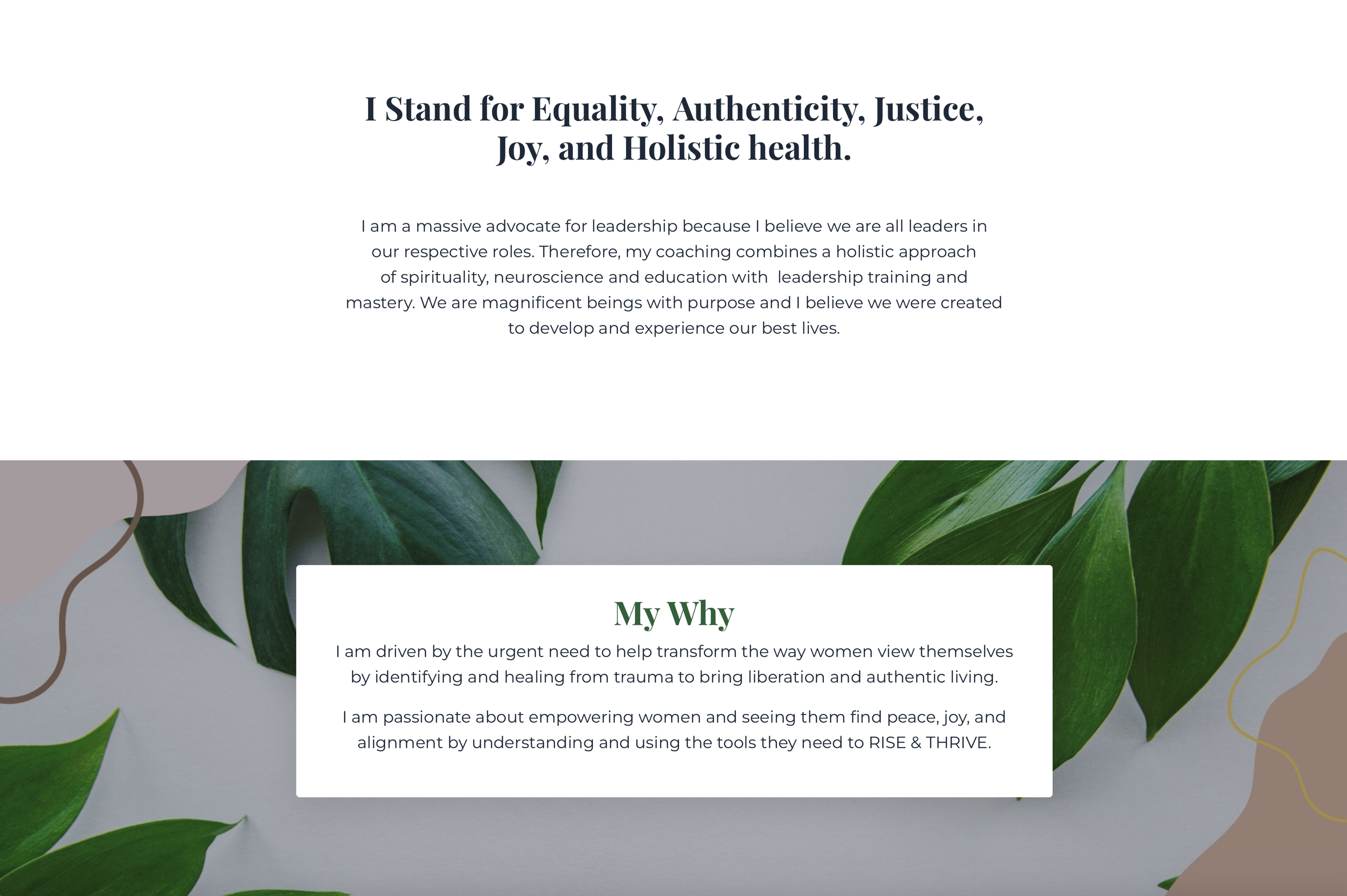 Screen Shot 2022-04-11 at 12.10.45 PM.png