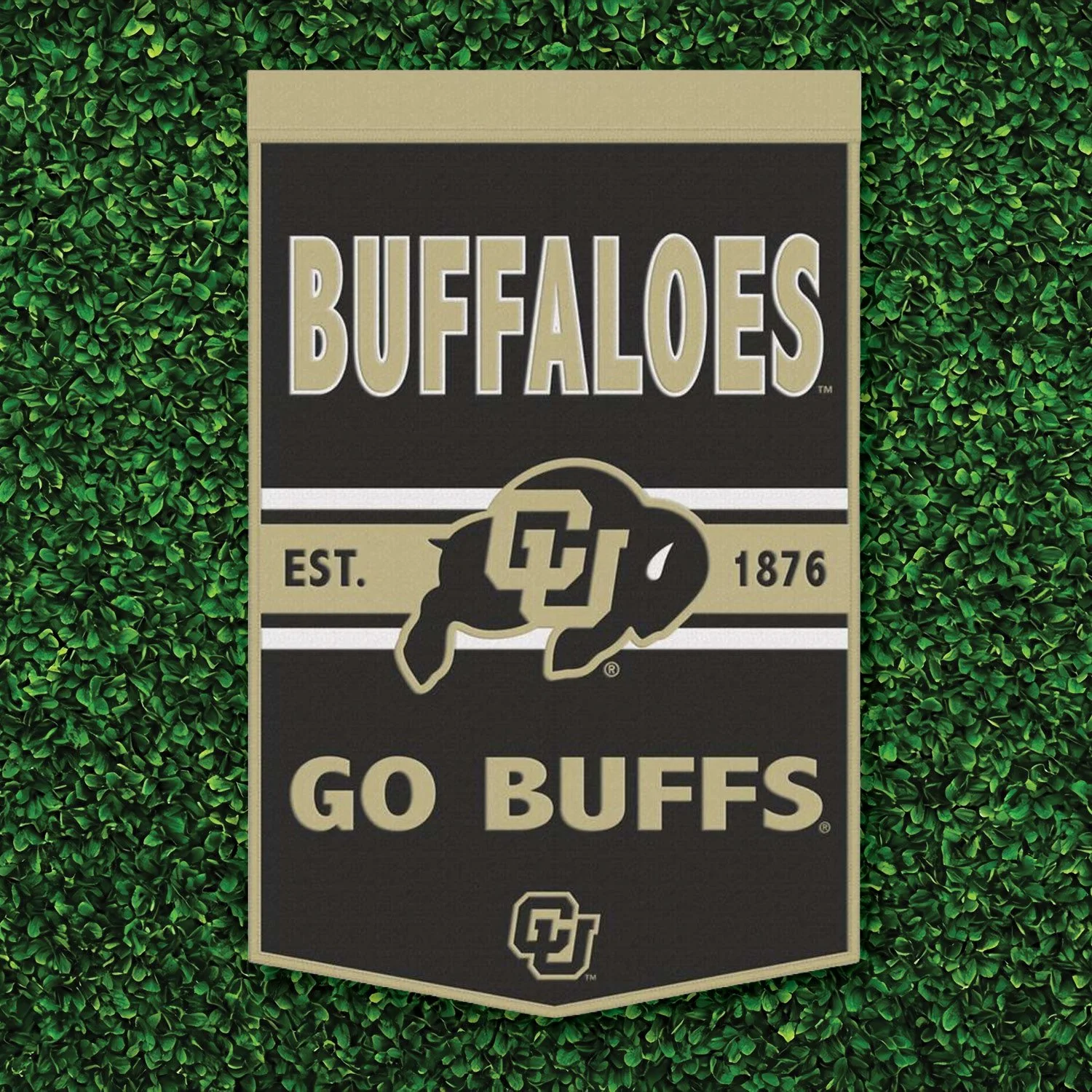 CU Buffs vs Texas Tech Homecoming Watch Party 
