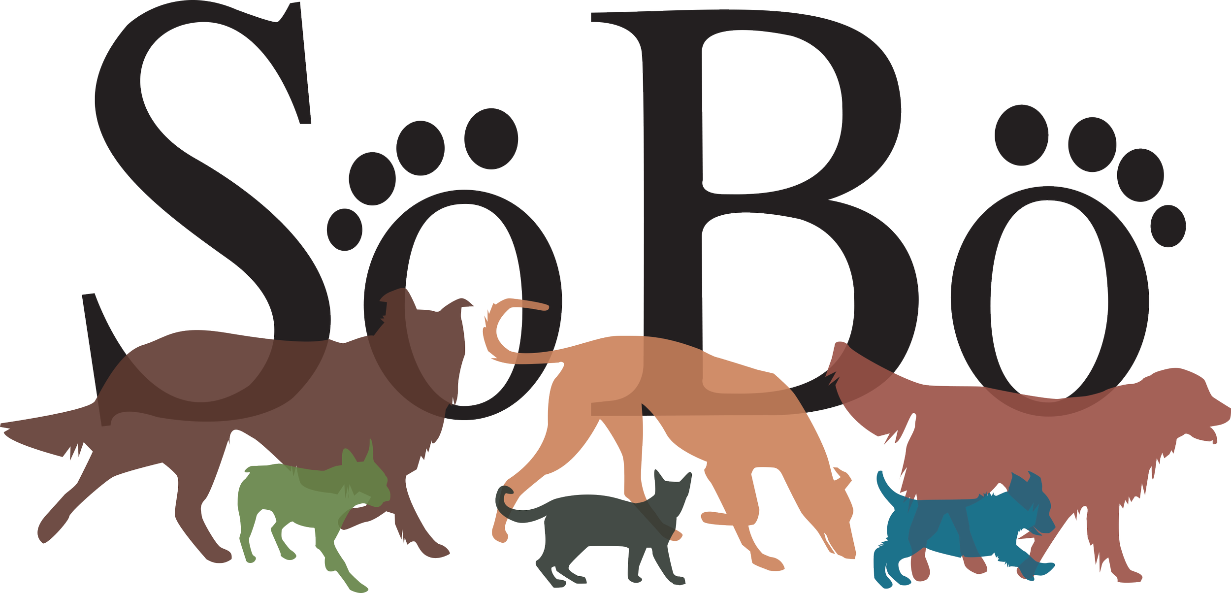 The image displays the words 'Sit and Stay' with paw prints replacing the dots on the letters. There are five different dogs and two cats in front of the words, with the dogs in various colors and sizes.