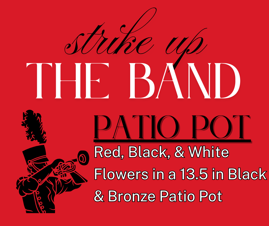 STRIKE UP THE BAND 13.5 inch Porch Pot