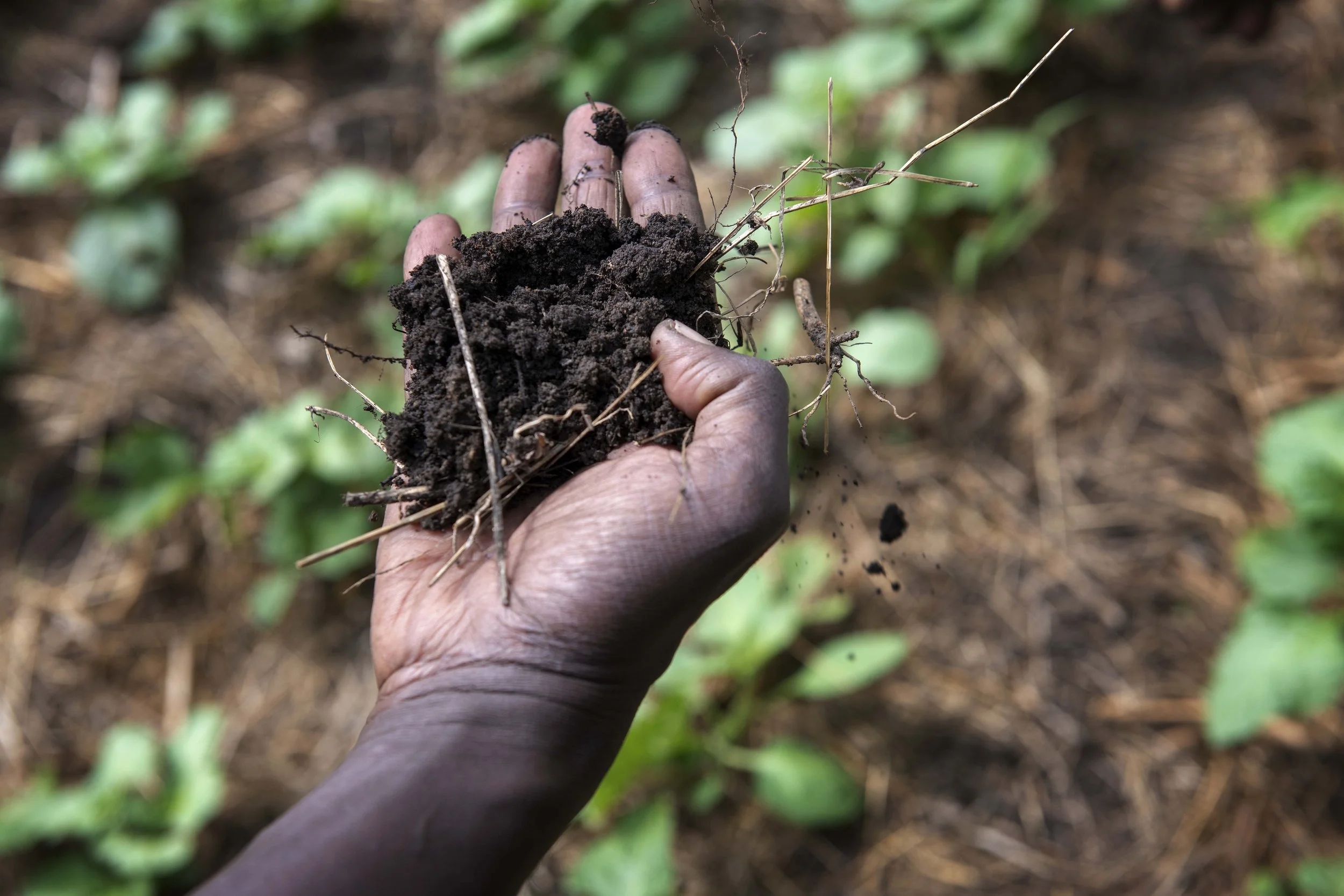 Coalition of Action for Soil Health