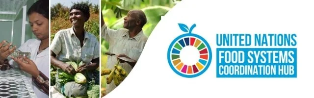 Strengthening National Governance to Accelerate Food Systems Transformation