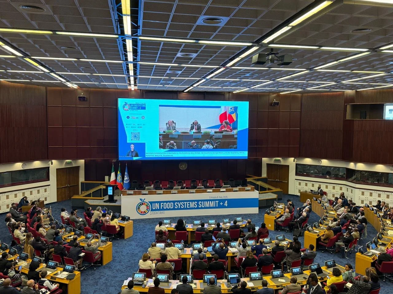 CA4SH and partners highlight the role of healthy soil at the Second United Nations Food Systems Summit Stocktake