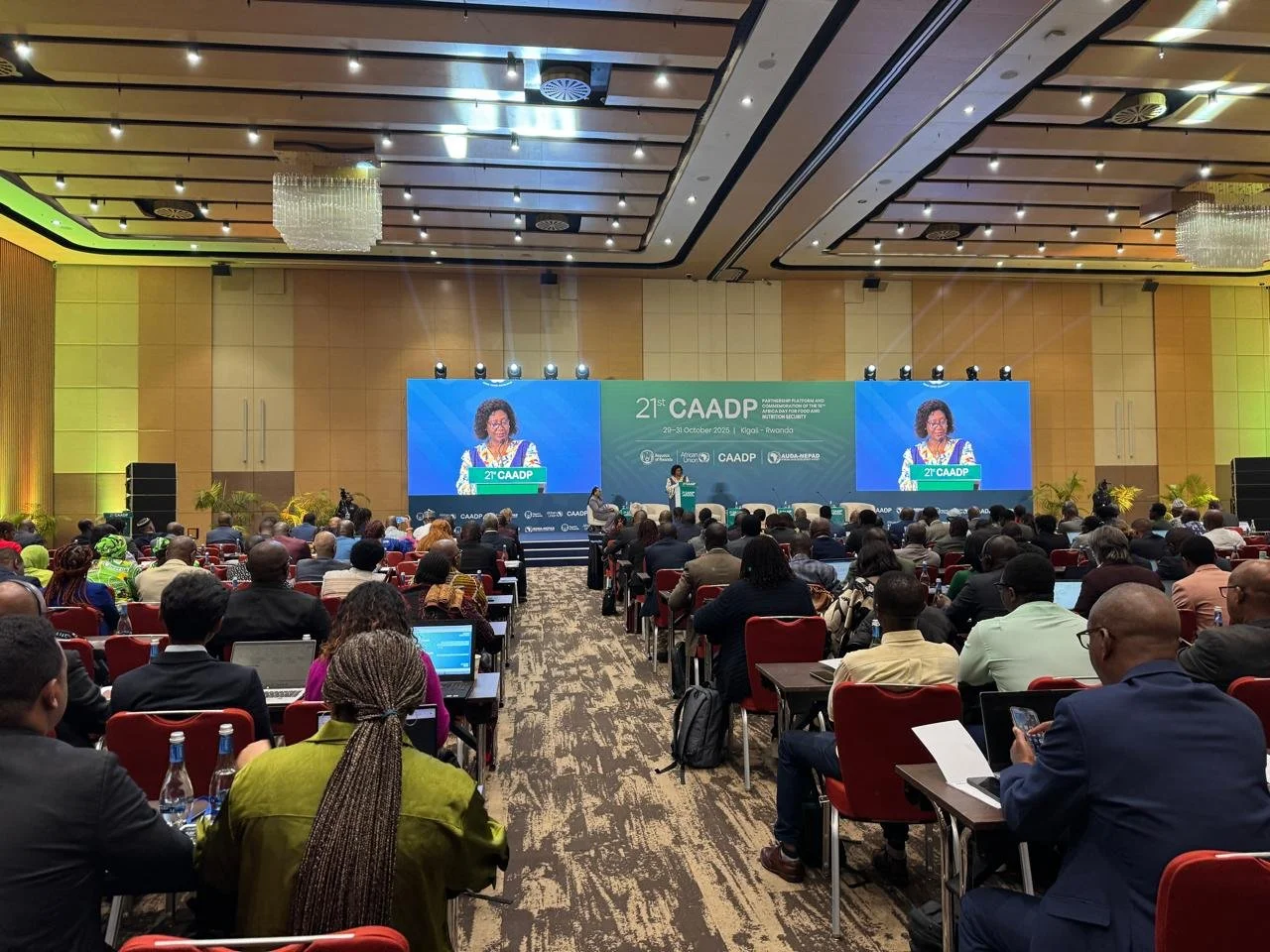 WhatsApp Image 2025-10-29 at 05.13.11 (2).jpeg