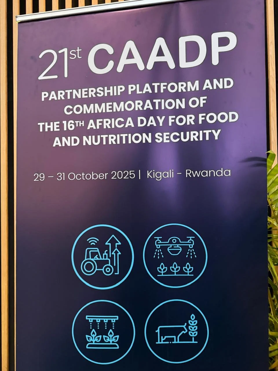 WhatsApp Image 2025-10-29 at 05.09.03 (1).jpeg