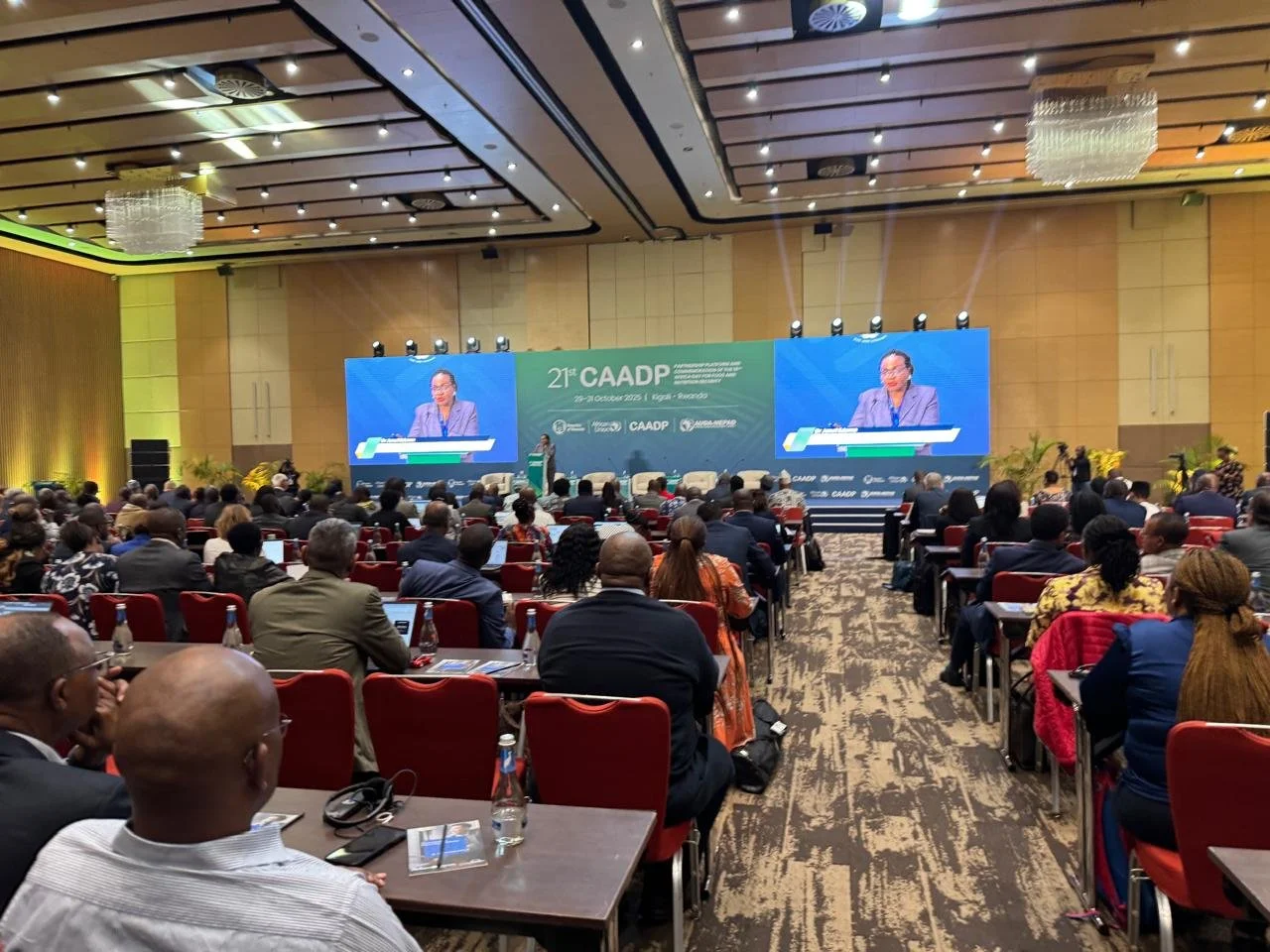 WhatsApp Image 2025-10-29 at 05.09.03.jpeg