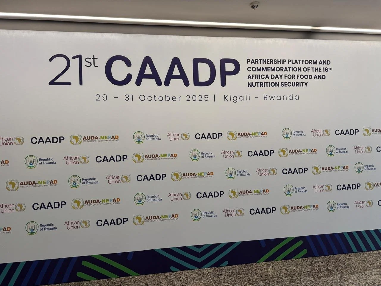 WhatsApp Image 2025-10-29 at 05.13.10 (2).jpeg