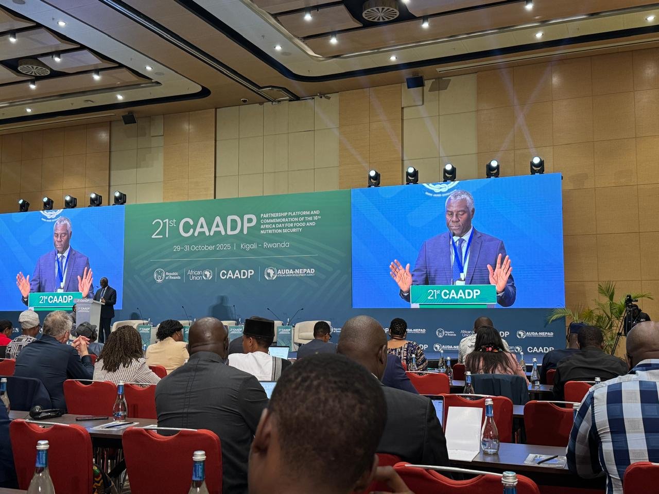 WhatsApp Image 2025-10-29 at 05.38.59.jpeg