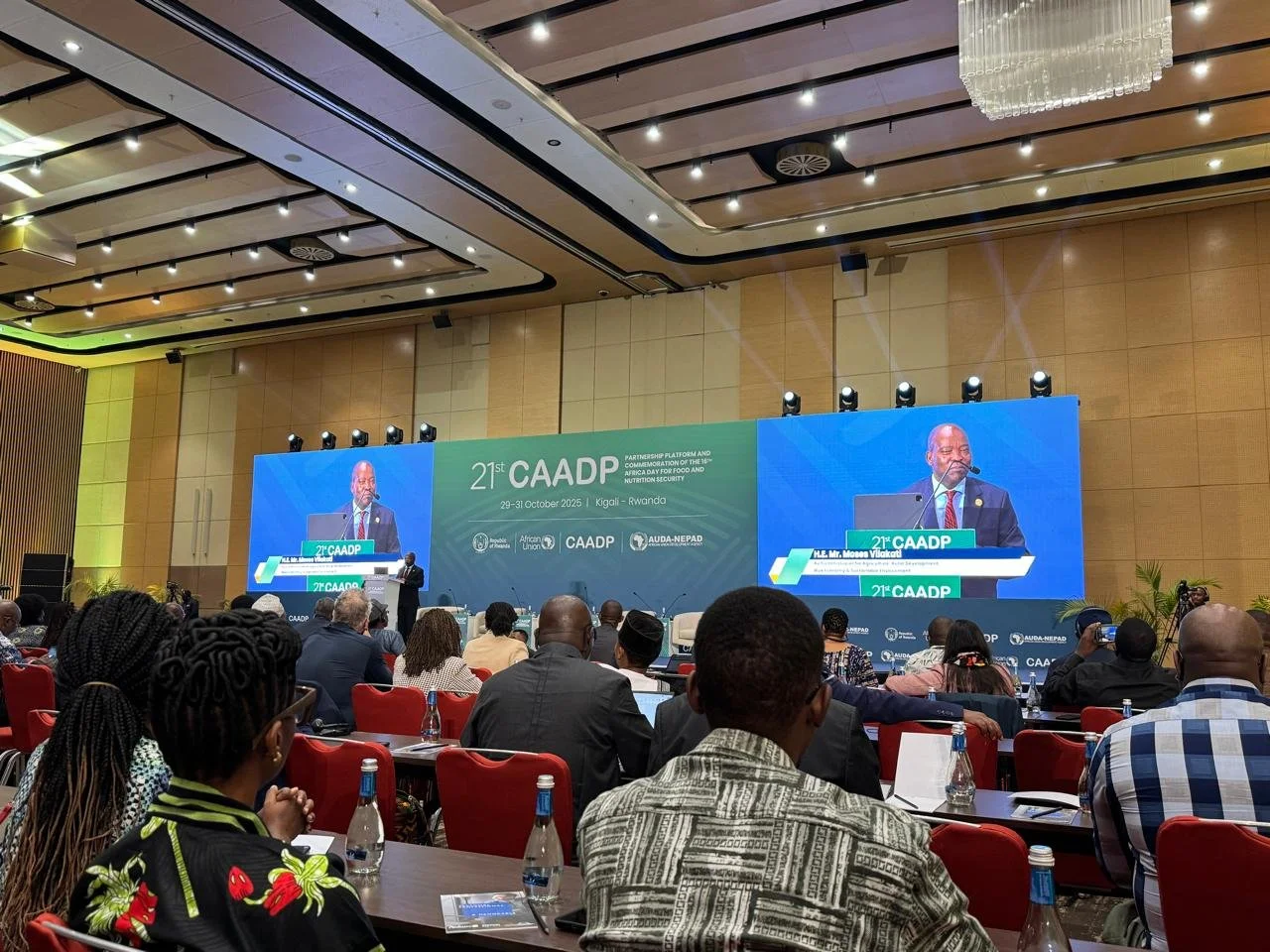 WhatsApp Image 2025-10-29 at 05.58.21.jpeg