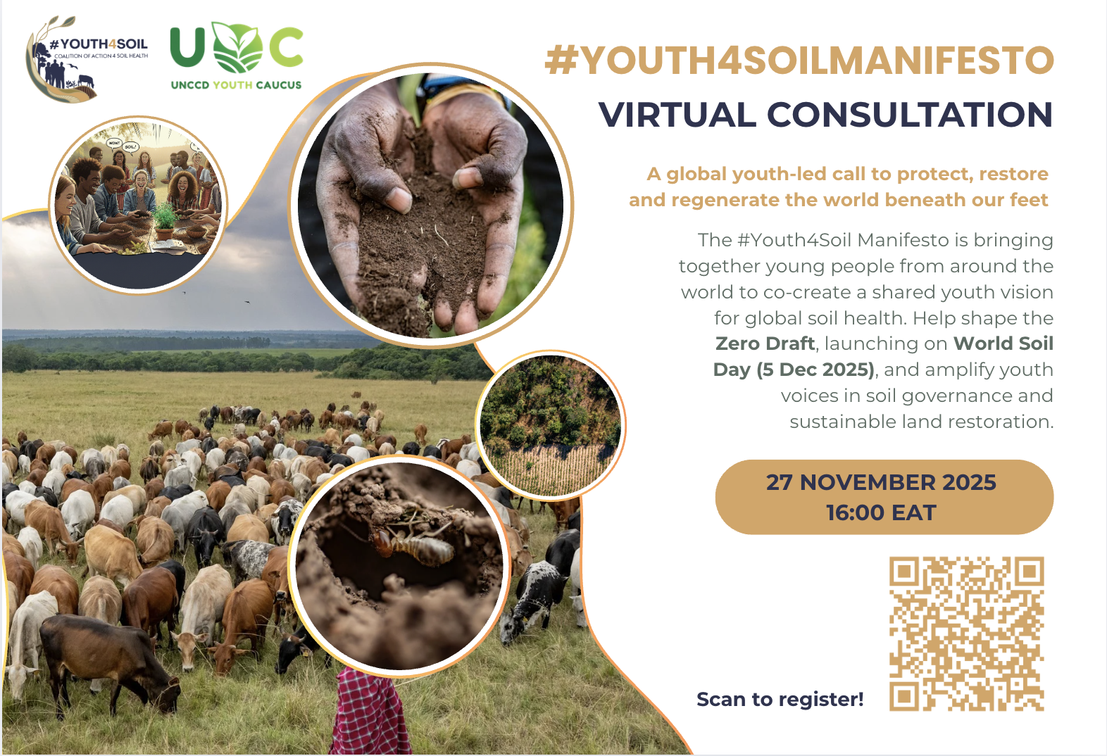 Youth4Soil Manifesto Virtual Consultation