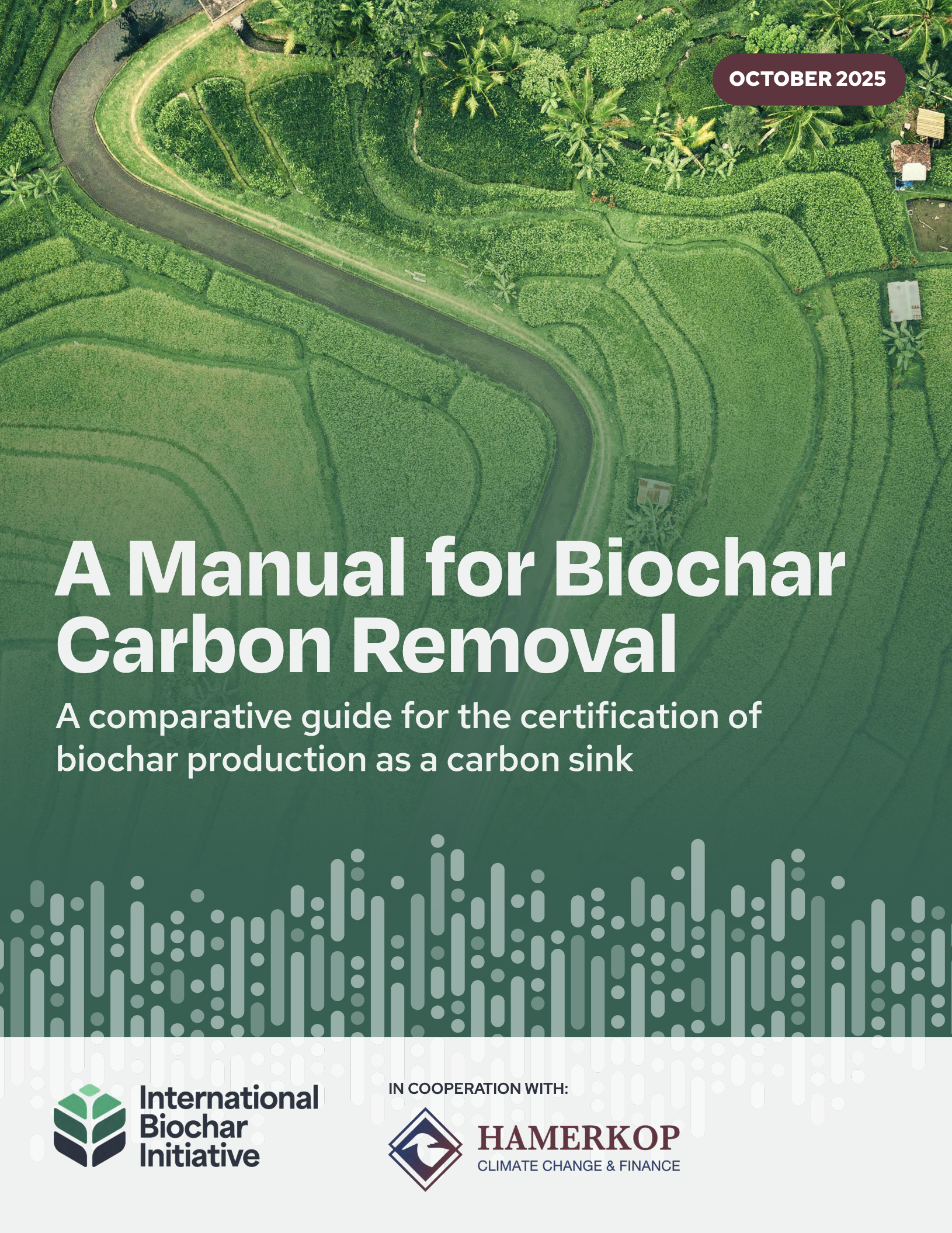 International Biochar Initiative (IBI) | Updated Manual for Biochar Carbon Removal